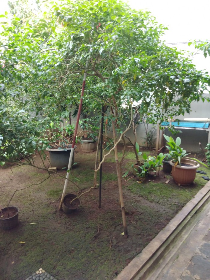 Rumah dijual di Cilandak Jakarta Selatan